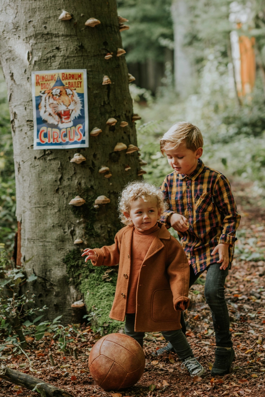 FIH Fotografie » Magische bos shoot